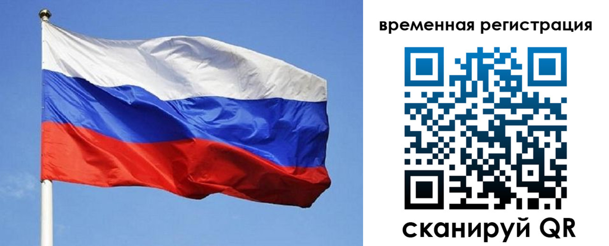 прописка в квартире в Палласовке